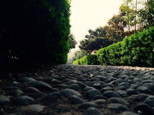 嘉應(yīng)觀石頭路